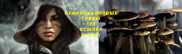 гашиш Арсеньев