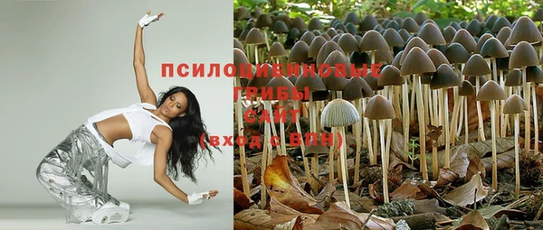 мяу мяу мука Армянск