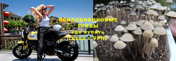 мяу мяу мука Армянск