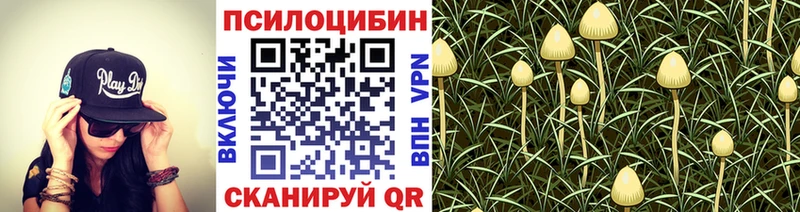 Псилоцибиновые грибы мицелий  Таруса 